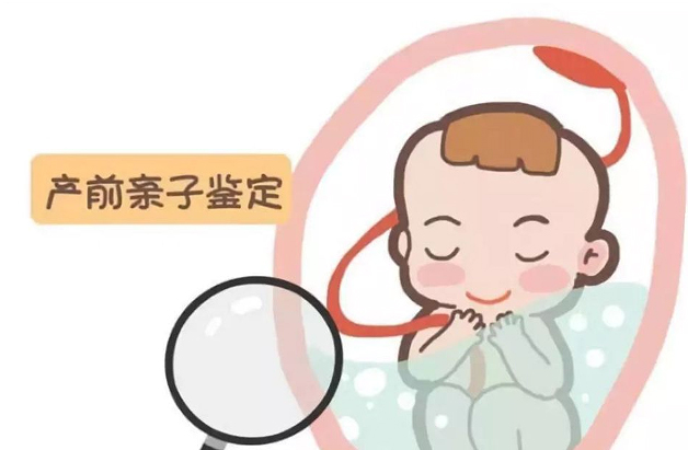 镇江怀孕24周要如何办理无创胎儿亲子鉴定,镇江做无创孕期亲子鉴定办理费用